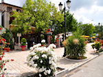 Thassos stad - Limenas | Griekenland | Foto 4