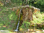 Panagia Thassos | Griekenland | Foto 21