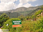 Paradise Beach - Kinira | Thassos | Foto 2