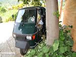 Paradise Beach - Kinira | Thassos | Foto 5