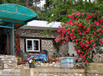 Papalimani Thassos | Griekenland | Foto 6