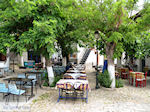 Van Skala Maries naar Maries | Thassos | Foto 11