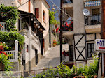 Limenaria Thassos | Griekenland | Foto 12