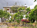 Theologos Thassos | Griekenland | Foto 3