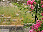 Limenas  - Thassos stad |Griekenland | Foto 10