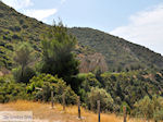 Van Potos naar Skala Maries | Thassos | Foto 8
