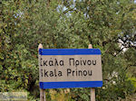 Prinos en Skala Prinos | Thassos | Foto 6