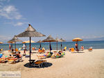 Skala Rachonis | Thassos | Foto 6