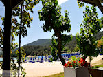 Makryammos - Strand bij Limenas (Thassos stad) | Foto 4
