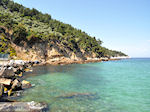 Makryammos - Strand bij Limenas (Thassos stad) | Foto 16