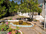 Panagia | Thassos | Foto 4